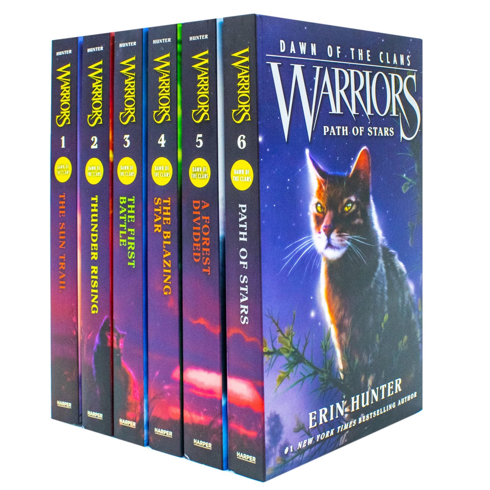 Warriors Cats Dawn of The Clans Series by Erin Hunter - 5 Books