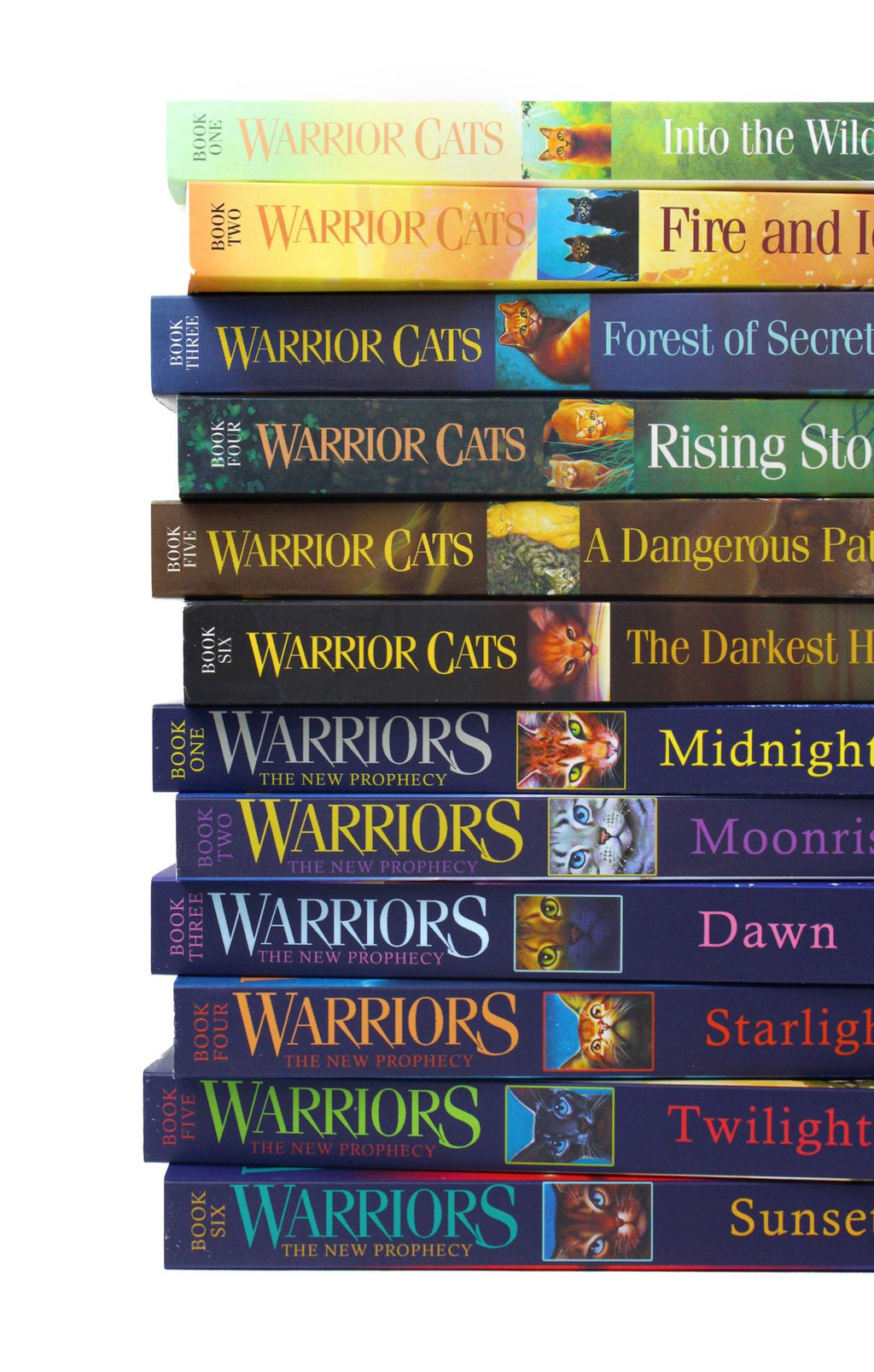 Warrior Cats Series 2 Erin Hunter 6 Books Collection Set Pack The New –  Lowplex