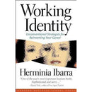 Working Identity Unconventional Strategies Reinventing Your Career Book