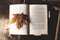6 Autumn reads to cosy up with