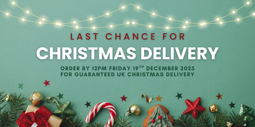 Last-Minute Christmas Book Gifts | 15% Off Festive Reads | Lowplex Books