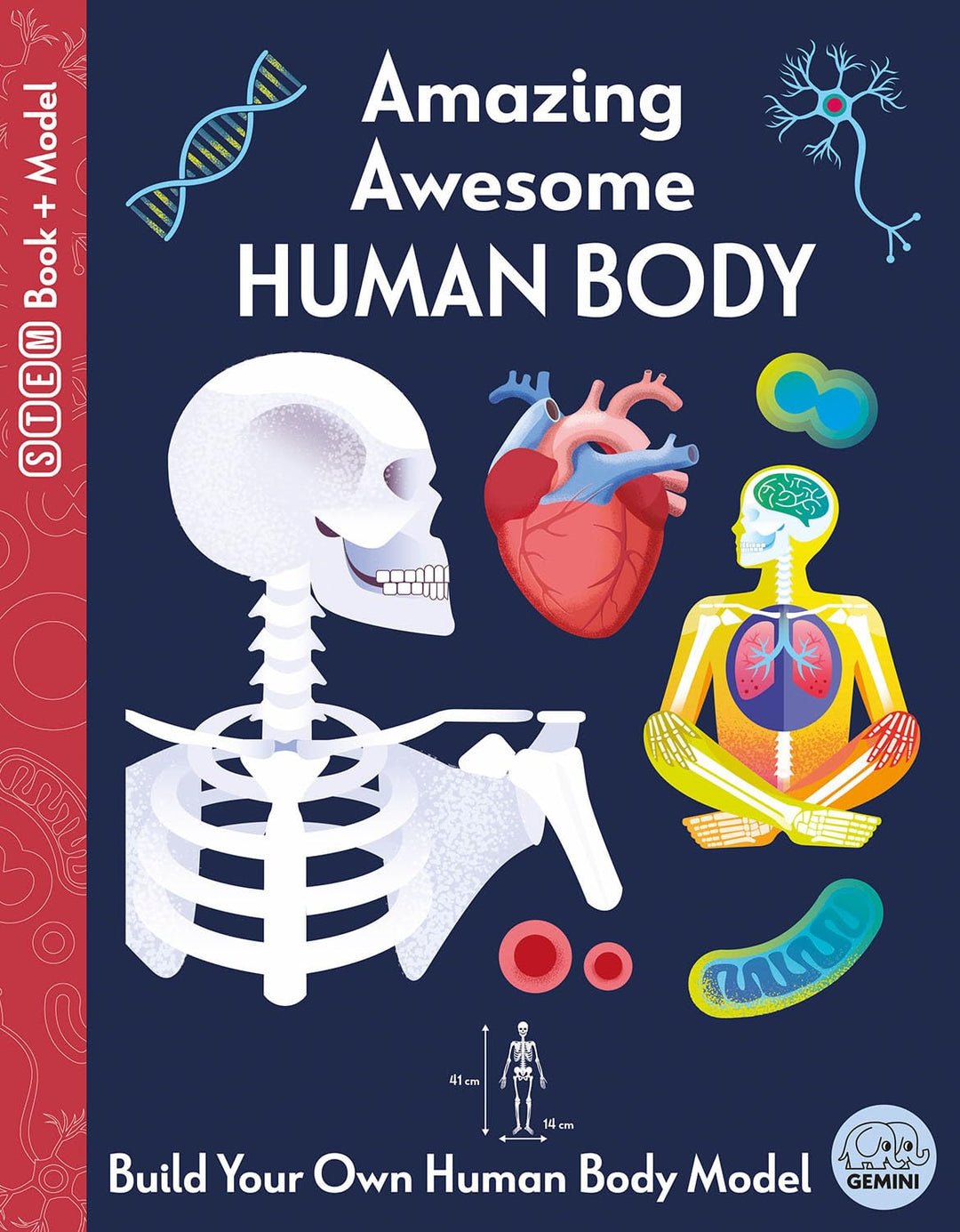 Amazing Awesome Human Body (Ignite STEM Book + Model Kit)