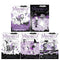 Harriet Muncaster Mirabelle Collection 5 Books Set (Books 6-10) (Magical Mayhem, Takes Charge, Wants to Win, Haunted House, Midnight Feast)