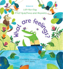 What are Feelings? (Lift-the-Flap First Questions and Answers): 1 (First Questions and Answers)