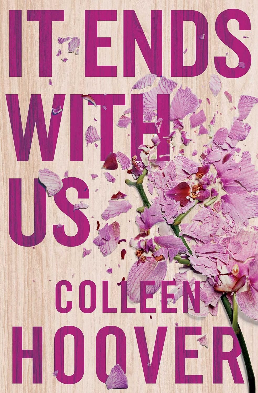 It Starts with Us & It Ends with Us Book Set by Colleen Hoover | Emotional Contemporary Romance, Love, Family Drama, Bestseller Collection