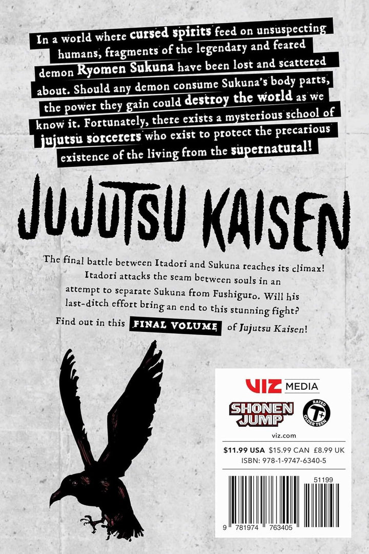 Jujutsu Kaisen, Vol. 30 Book: Volume 30 (Paperback)