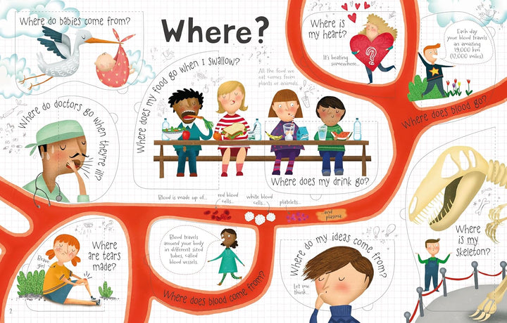 Lift the Flap Questions and Answers about your Body (Usborne Lift-the-Flap-Books): 1 (Questions and Answers) | Hardcover