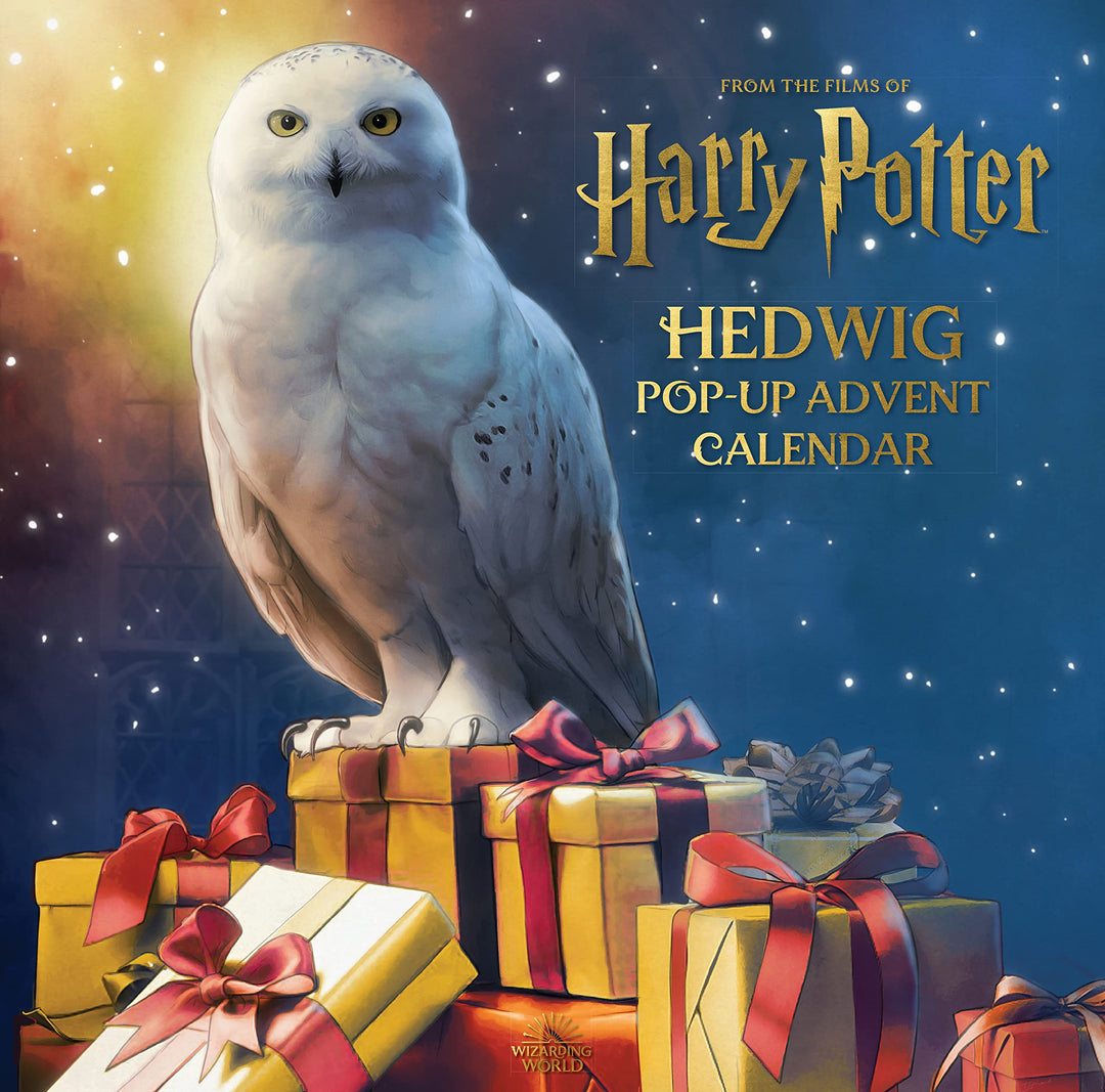 Hedwig Activity Harry Potter Hedwig Advent Calendar - Fun Holiday Gift for Kids ...