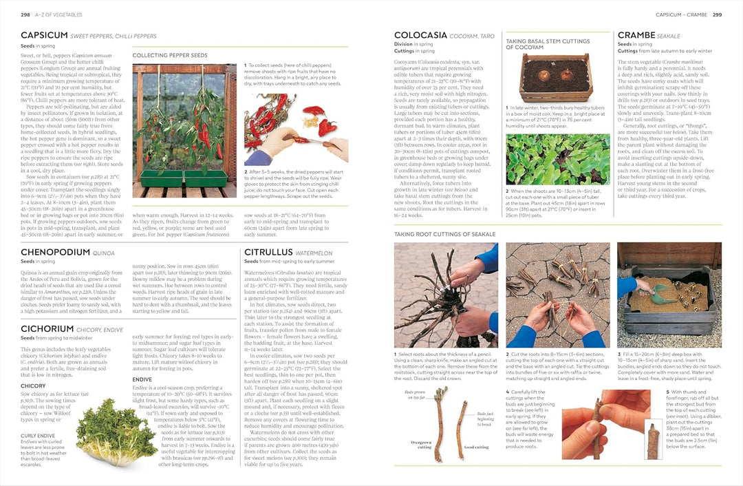 RHS Propagating Plants: How to Create New Plants for Free  Book by Alan Toogood & DK | Gardening, Plant Care, Propagation, Horticulture