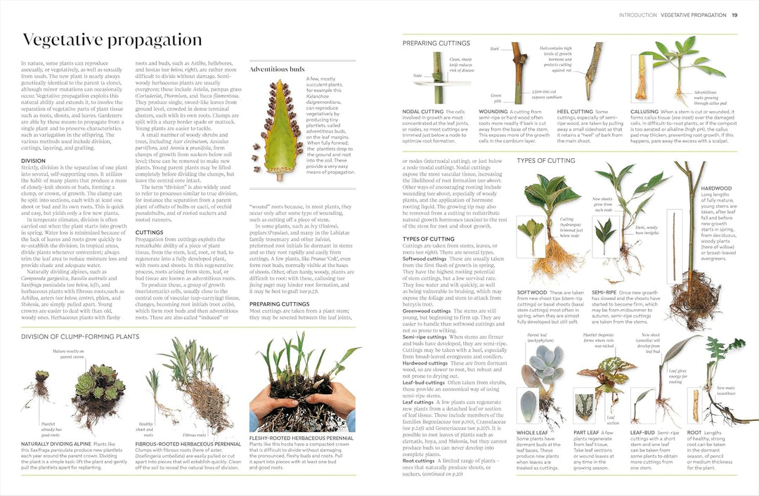 RHS Propagating Plants: How to Create New Plants for Free  Book by Alan Toogood & DK | Gardening, Plant Care, Propagation, Horticulture
