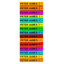 Roy Grace Series 1-15 Book Collection Set Best Selling Mystery Thrillers By Peter James (Dead Simple, Looking Good Dead, Not Dead Enough, Dead Like You and More)