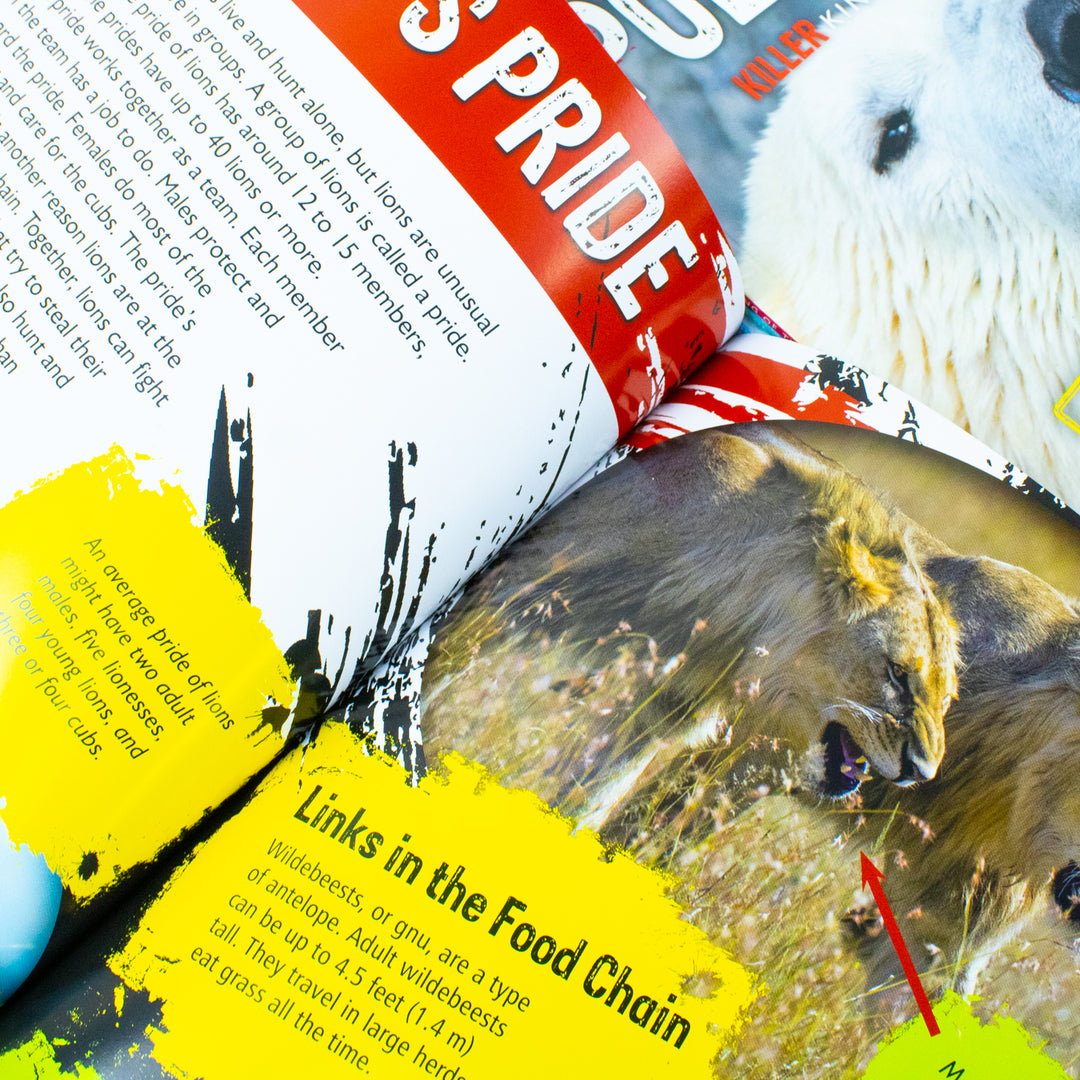 National Geographic Kids Mega 24-Book Set- Predators, Earth Science & Ecosystems - Fun Nonfiction STEM Books for Curious Kids