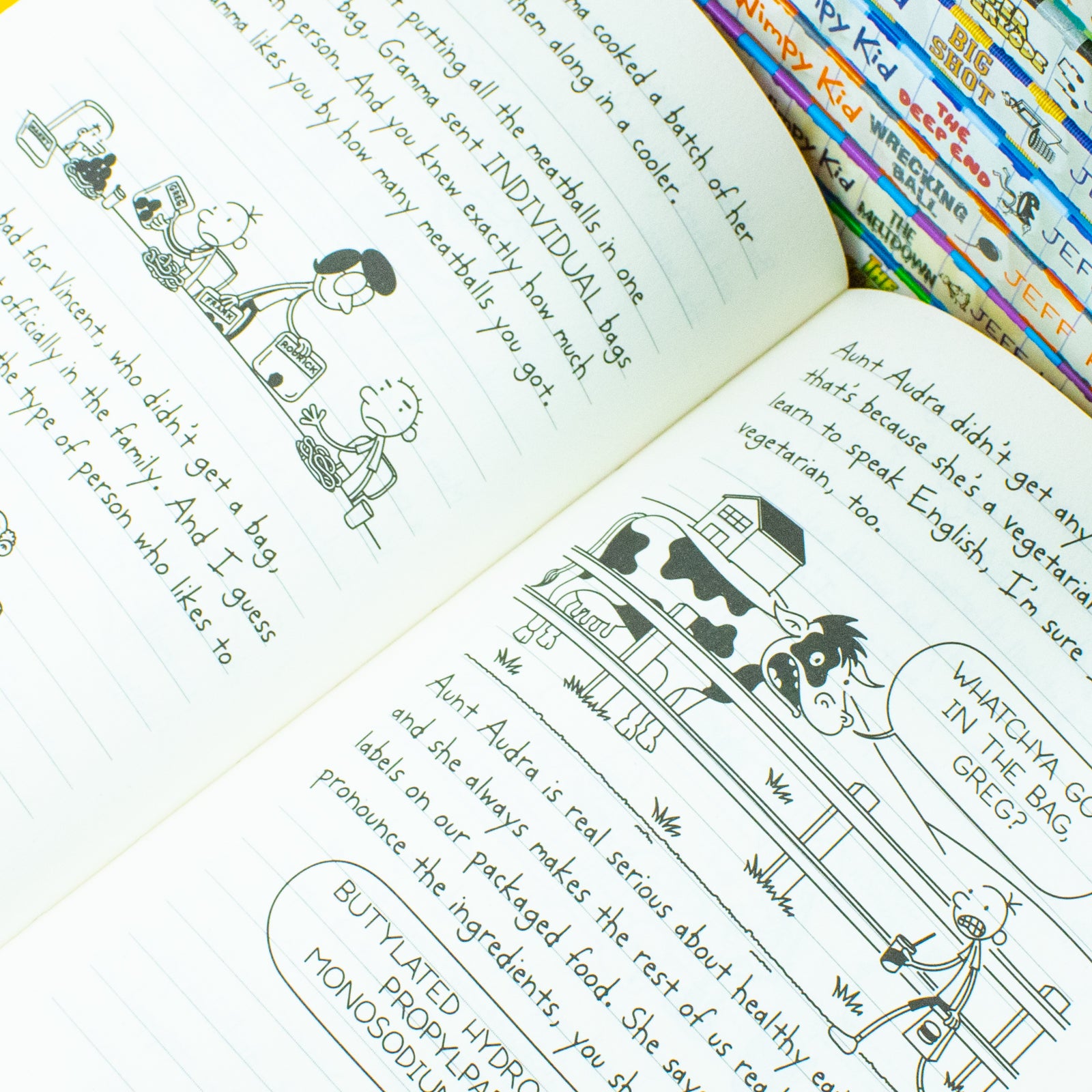Diary of a Wimpy Kid Series 12-19 Collection 8 Books Set By Jeff