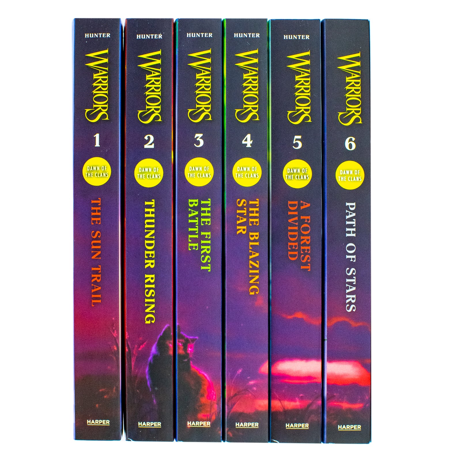 Warriors Cats Dawn of The Clans Series by Erin Hunter - 5 Books