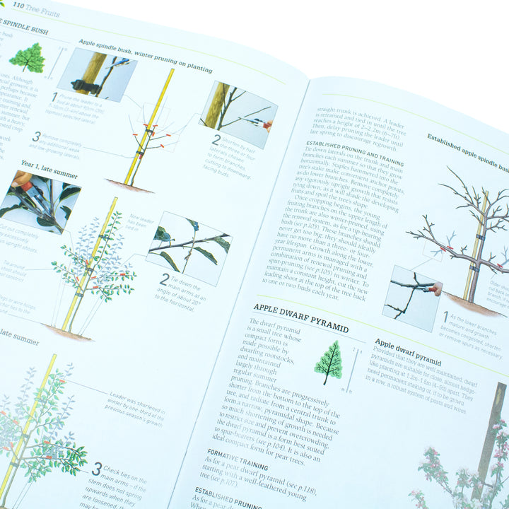 Rhs Tree Selection Guide rhs pruning and training: guide to pruning and training 800 plants ...