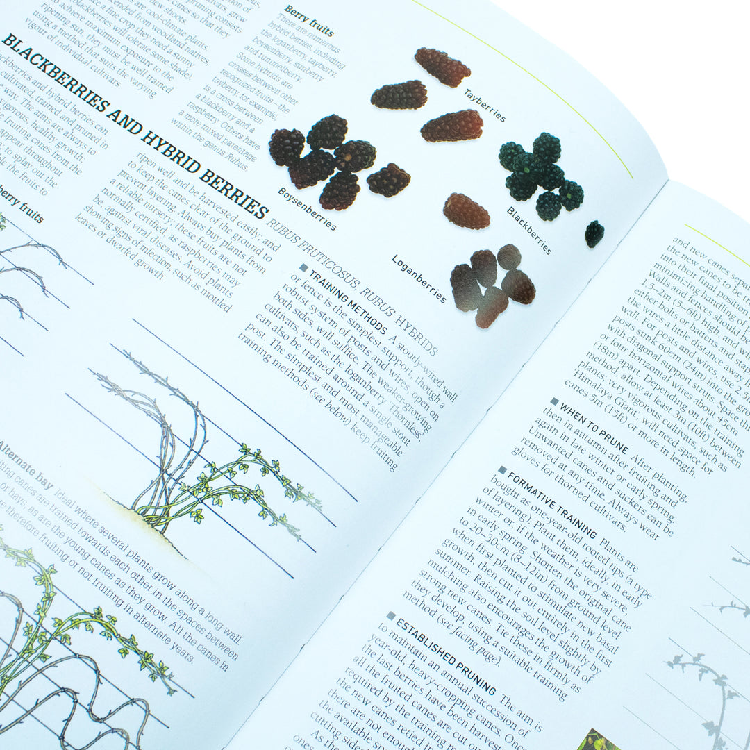 Rhs Tree Selection Guide rhs pruning and training: guide to pruning and training 800 plants ...