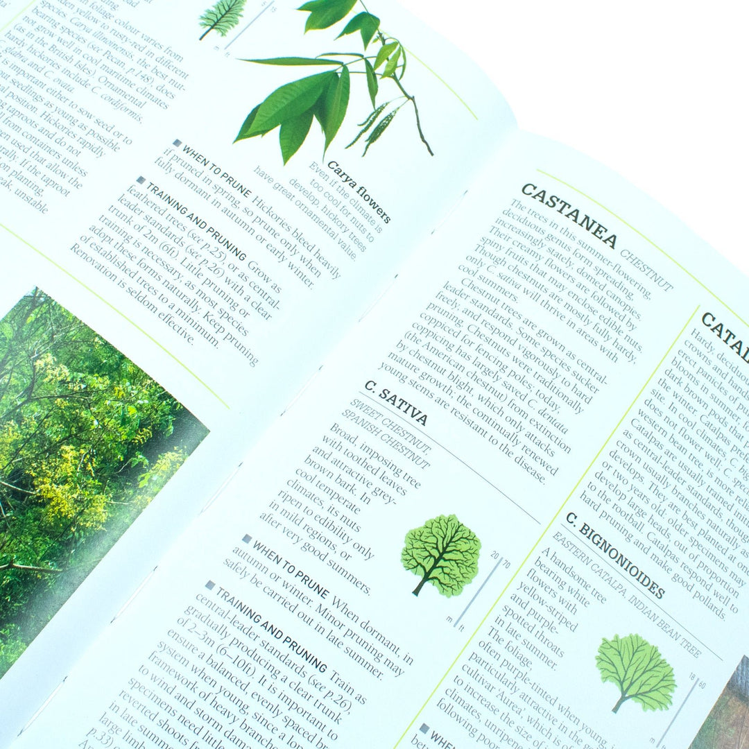 Rhs Tree Selection Guide rhs pruning and training: guide to pruning and training 800 plants ...