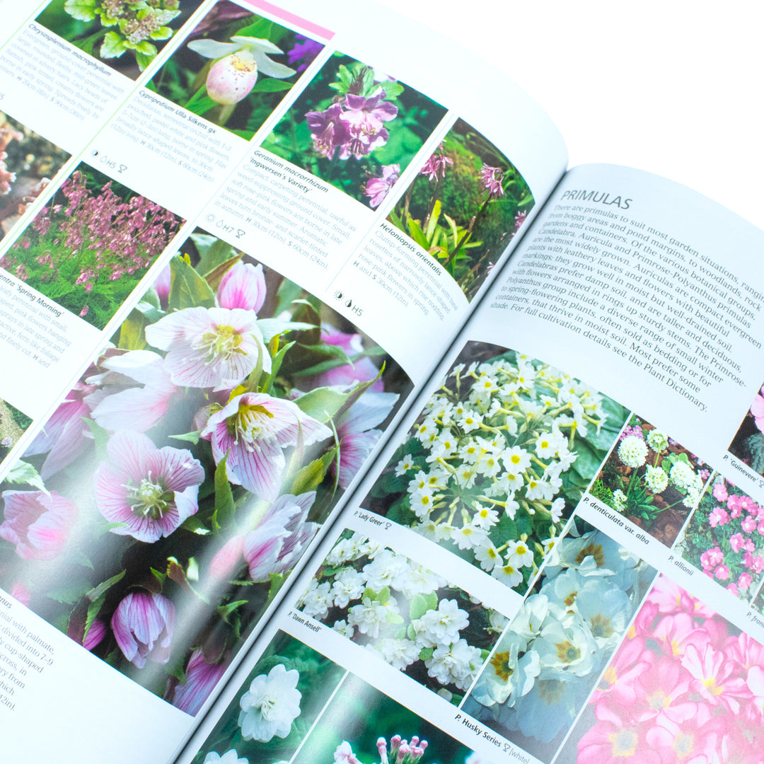 Flower Classification Book RHS Encyclopedia of Plants and Flowers - Book – Lowplex Books