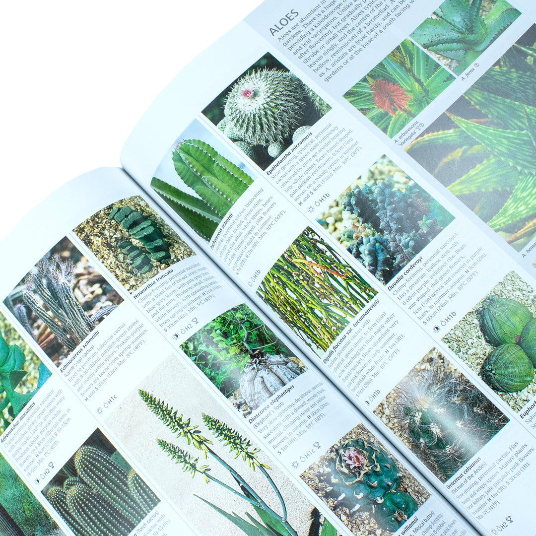 Flower Classification Book RHS Encyclopedia of Plants and Flowers - Book – Lowplex Books