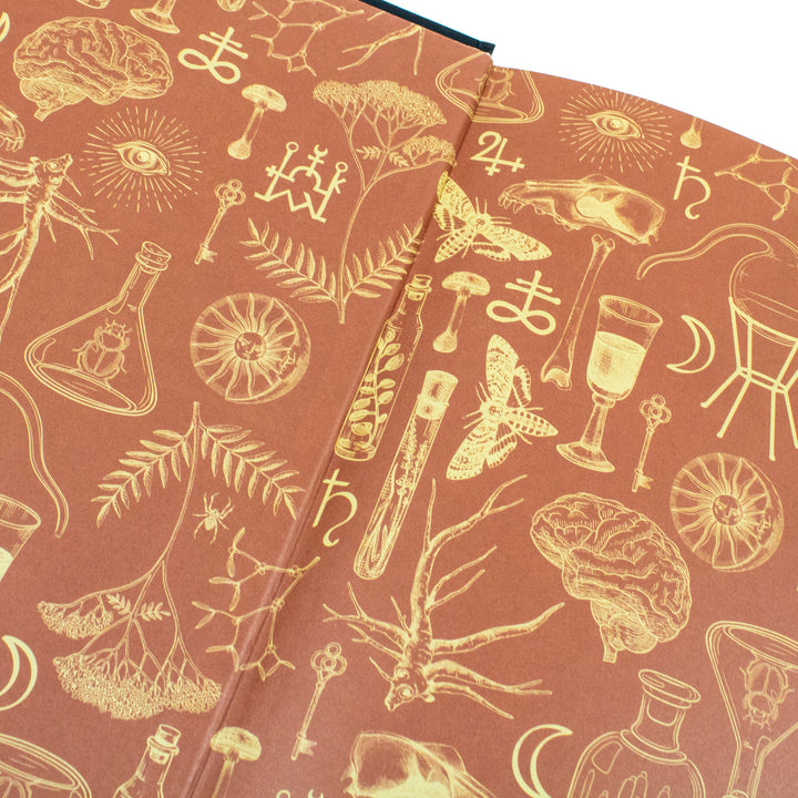 Alchemised: A Sweeping Gothic Fantasy of Darkness, Alchemy, and Forbidden Power By SenLinYu