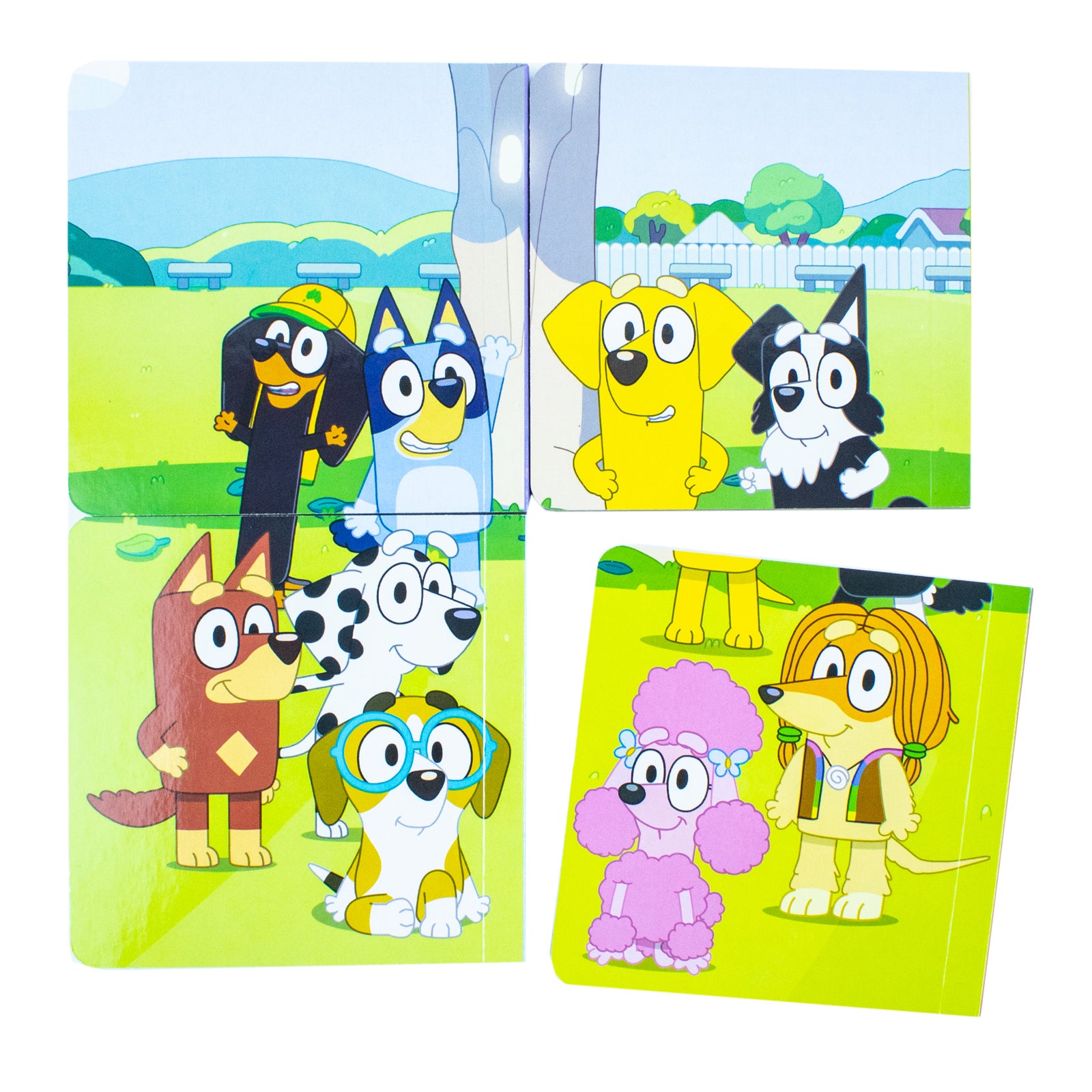 Bluey and Friends Little Library 4 Books Collection Set (Snickers