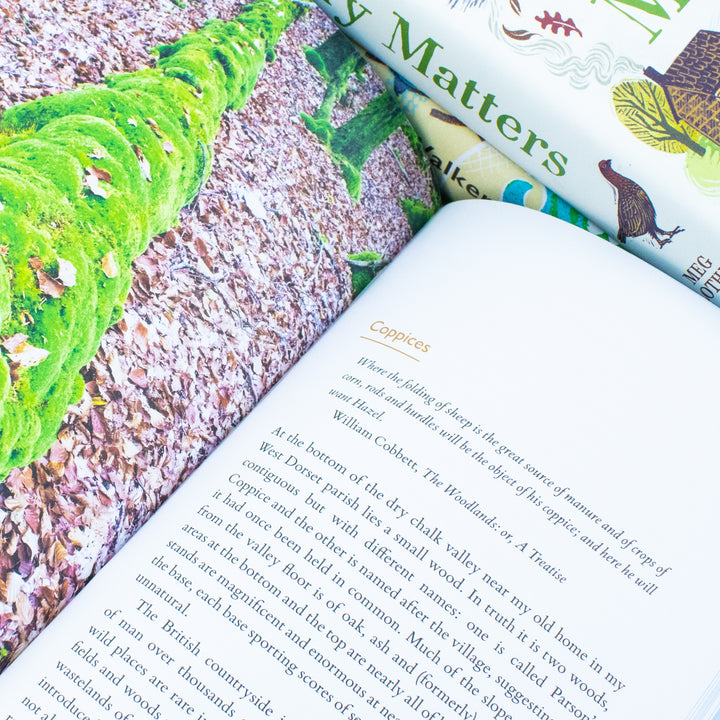 Countryside 3 Books Collection Set by John Wright, Meg Clothier, Jonny Clothier (Spotter's Guide to Countryside Mysteries, Country Matters, The Observant Walker)