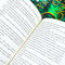 Hundred Kingdoms Novels Collection 2 Books Set By Alexandra Christo (To Kill a Kingdom & Princess of Souls)