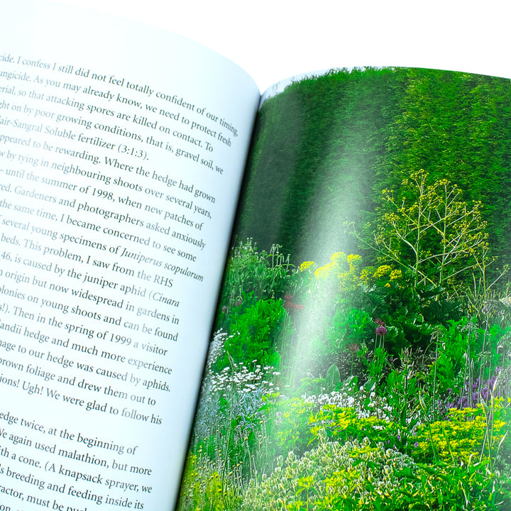 Drought-Resistant Planting: Lessons from Beth Chatto's Gravel Garden Book by Beth Chatto | Sustainable Gardening, Eco-Friendly Plant Care & Design