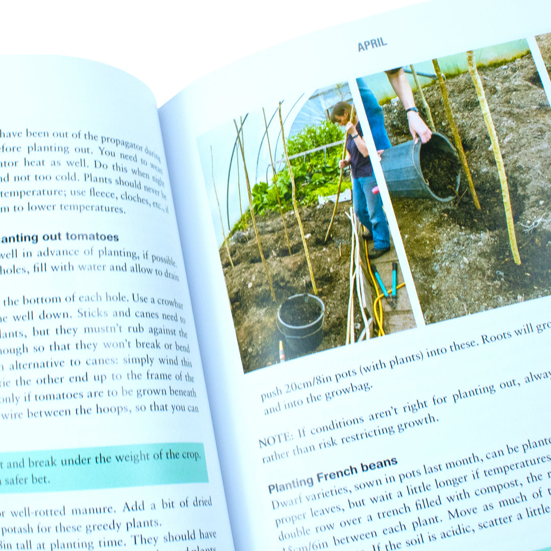 The Polytunnel Book: Fruit And Vegetables All Year Round By Joyce Russell