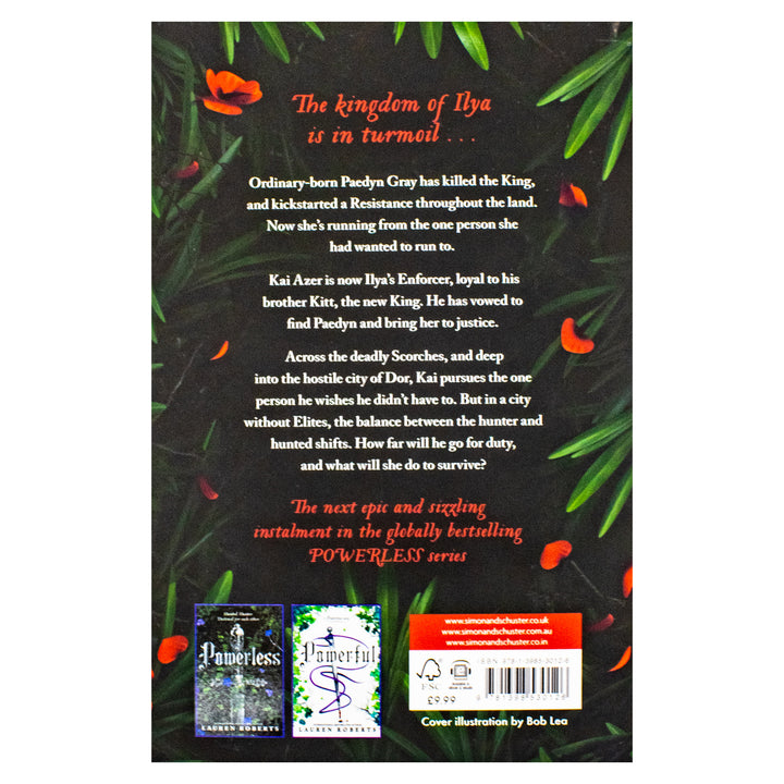 Reckless: TikTok made me buy it! The epic and sizzling fantasy romance series not to be missed