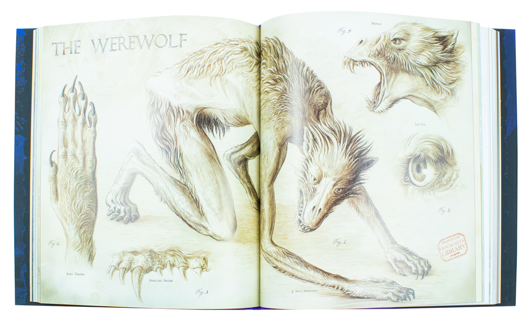 Harry Potter and the Prisoner of Azkaban, Illustrated Edition by J.K. Rowling, (Hardback)