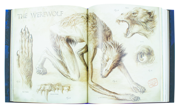 Harry Potter and the Prisoner of Azkaban, Illustrated Edition by J.K. Rowling, (Hardback)