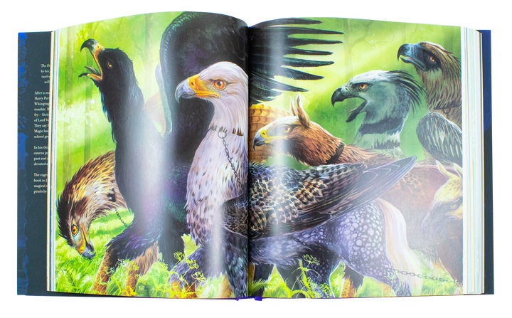 Harry Potter and the Prisoner of Azkaban, Illustrated Edition by J.K. Rowling, (Hardback)