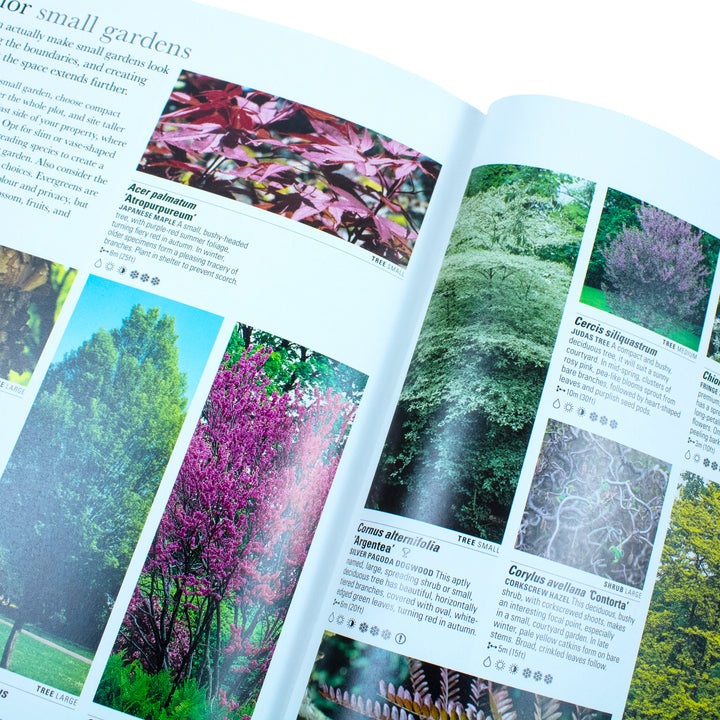 Discover RHS What Plant Where Encyclopedia - Essential Gardening Guide for 12+ Years - Explore Plants, Gardening Tips & Expert Advice Book