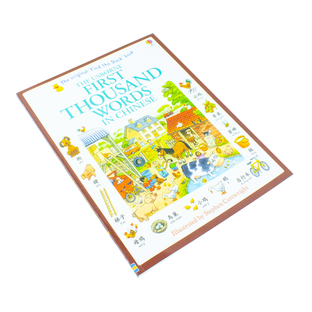 Usborne My First Thousand Words in Chinese Book