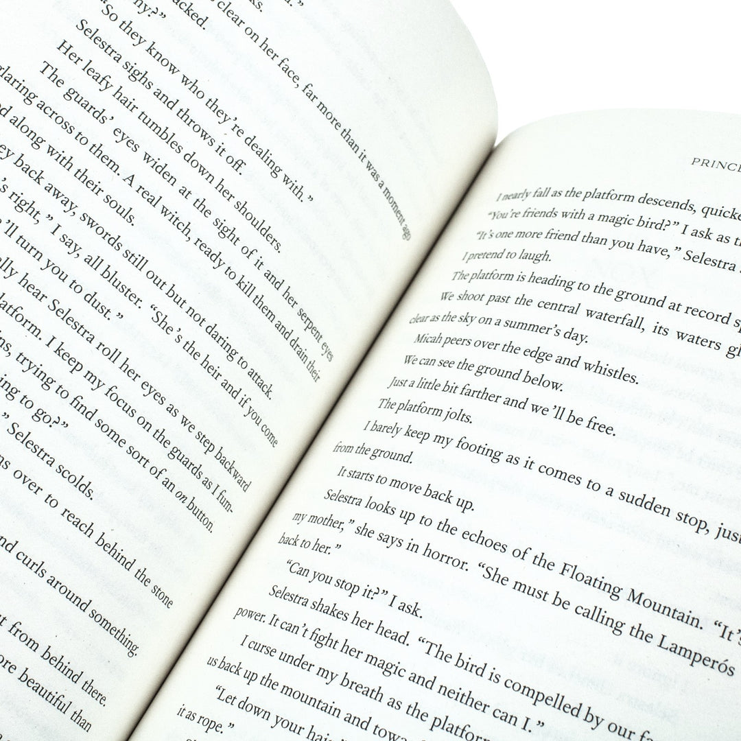 Princess of Souls: from the author of To Kill a Kingdom, the TikTok sensation By Alexandra Christo