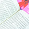 Colleen Hoover 3 Book Set ( Losing Hope, All Your Perfects, Finding Perfect )