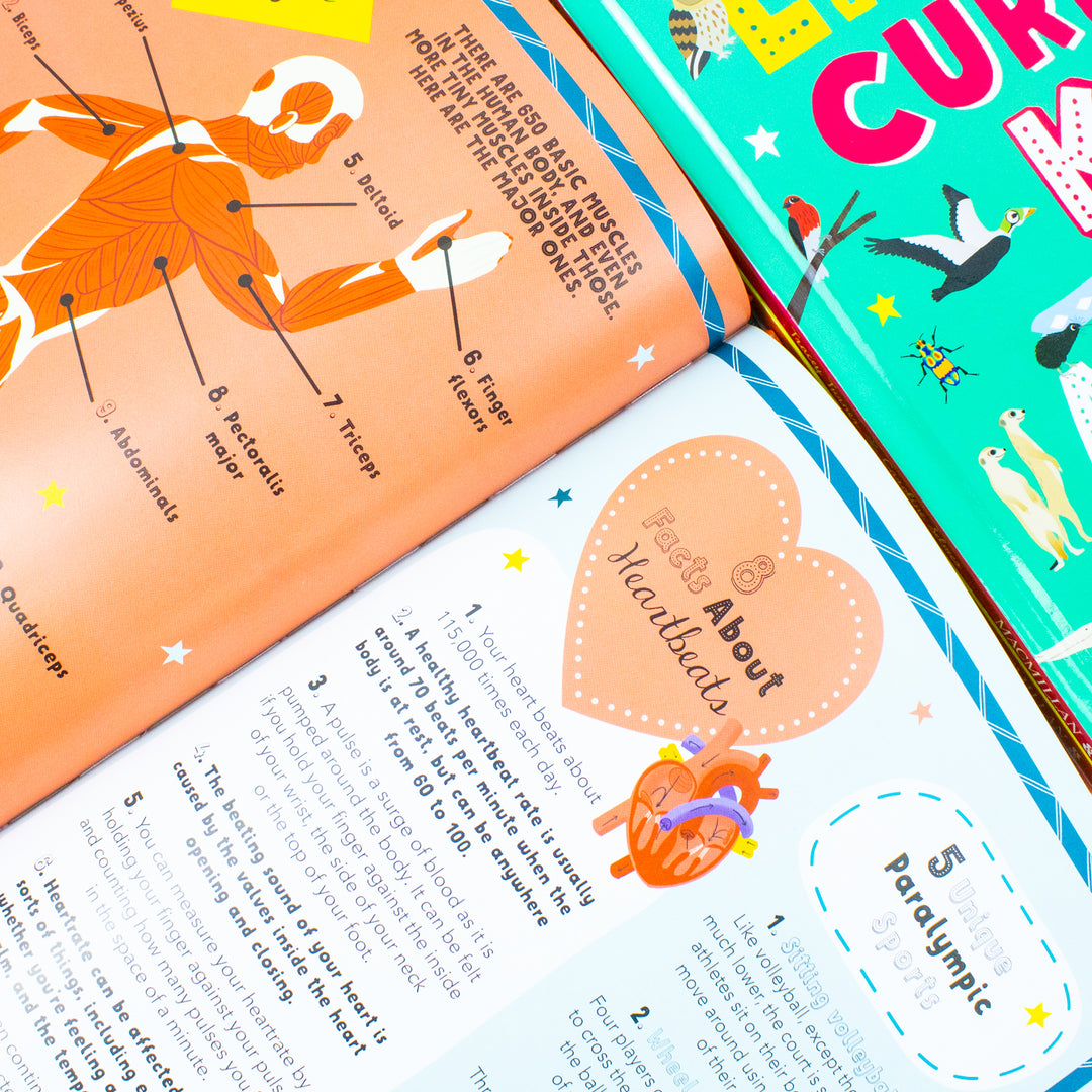 Lists for Curious Kids 3 Books Collection Set By Tracey Turner, Rachel Delahaye (Lists for Curious Kids, Human Body & Animals)