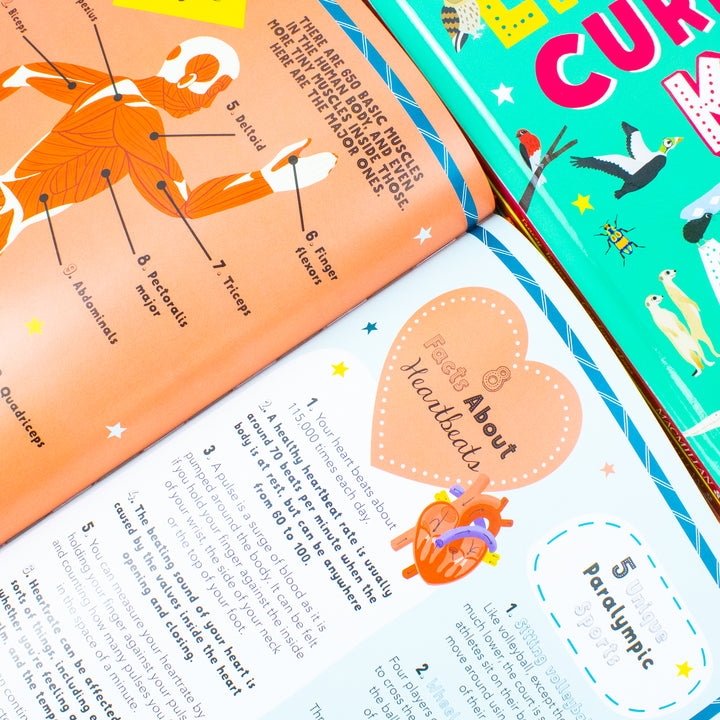 Lists for Curious Kids 3 Books Collection Set By Tracey Turner, Rachel Delahaye (Lists for Curious Kids, Human Body & Animals)