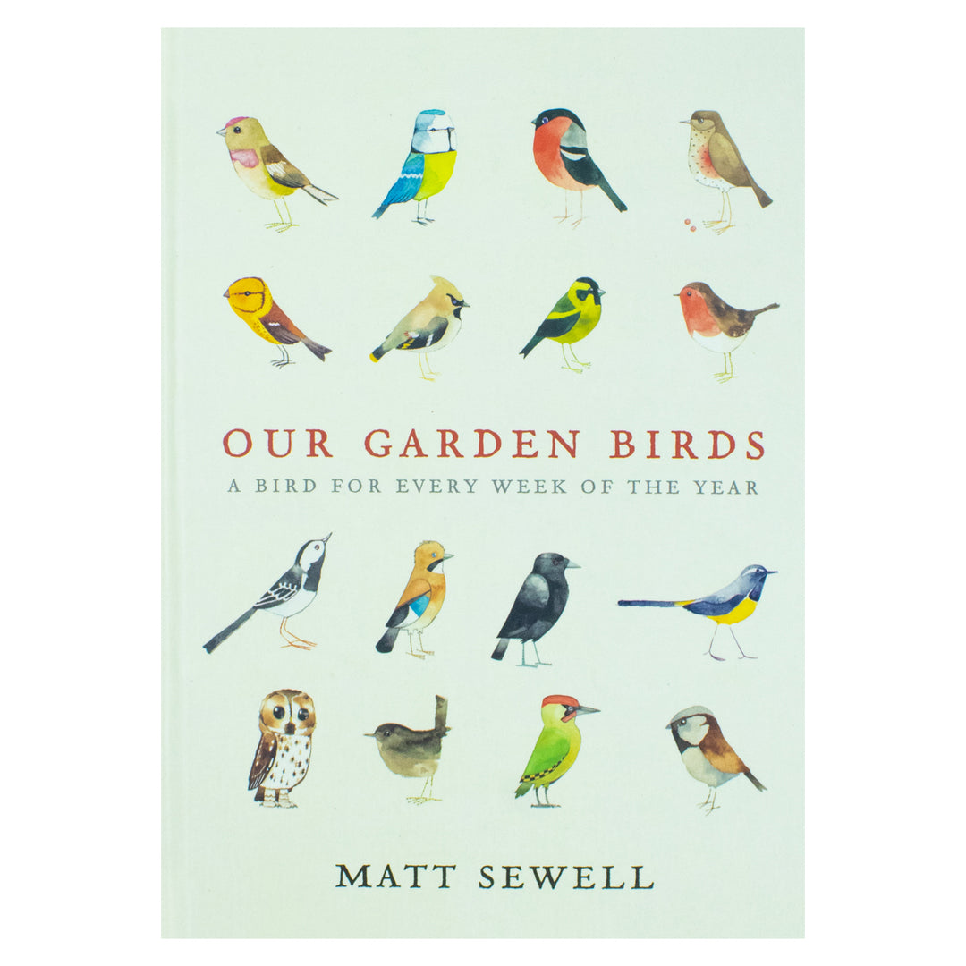 Our Garden Birds: A Stunning Illustrated Guide to the Birdlife of the British Isles by Matt Sewell | Nature, Wildlife & Birdwatching Book for All Ages
