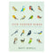Our Garden Birds: A Stunning Illustrated Guide to the Birdlife of the British Isles by Matt Sewell | Nature, Wildlife & Birdwatching Book for All Ages