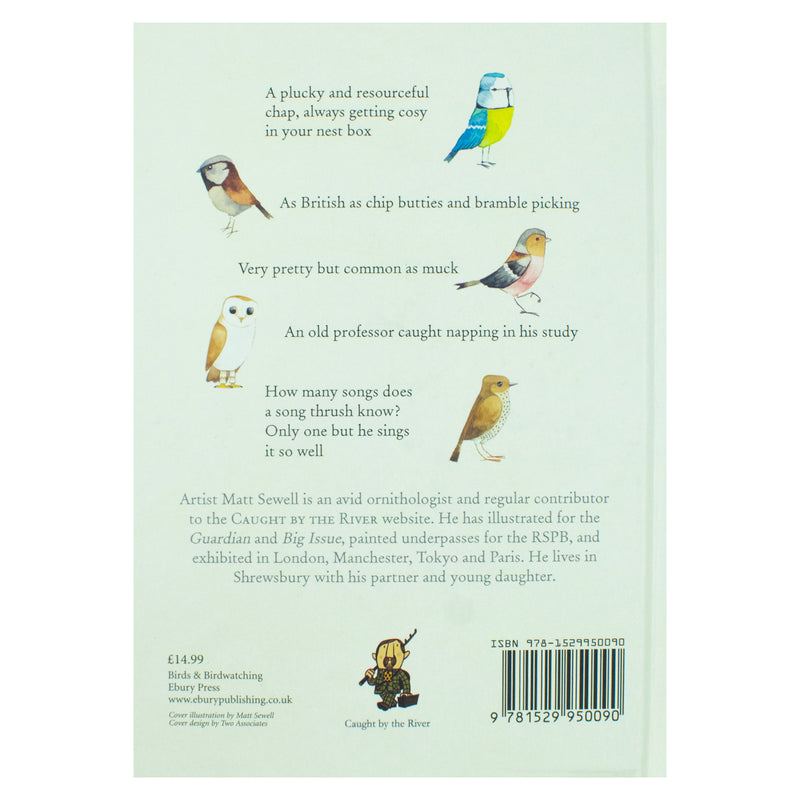 Our Garden Birds: A Stunning Illustrated Guide to the Birdlife of the British Isles by Matt Sewell | Nature, Wildlife & Birdwatching Book for All Ages