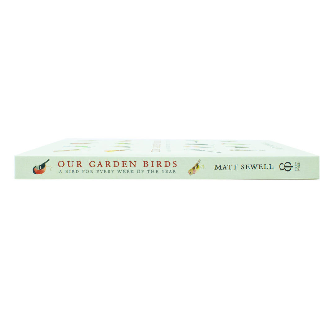 Our Garden Birds: A Stunning Illustrated Guide to the Birdlife of the British Isles by Matt Sewell | Nature, Wildlife & Birdwatching Book for All Ages