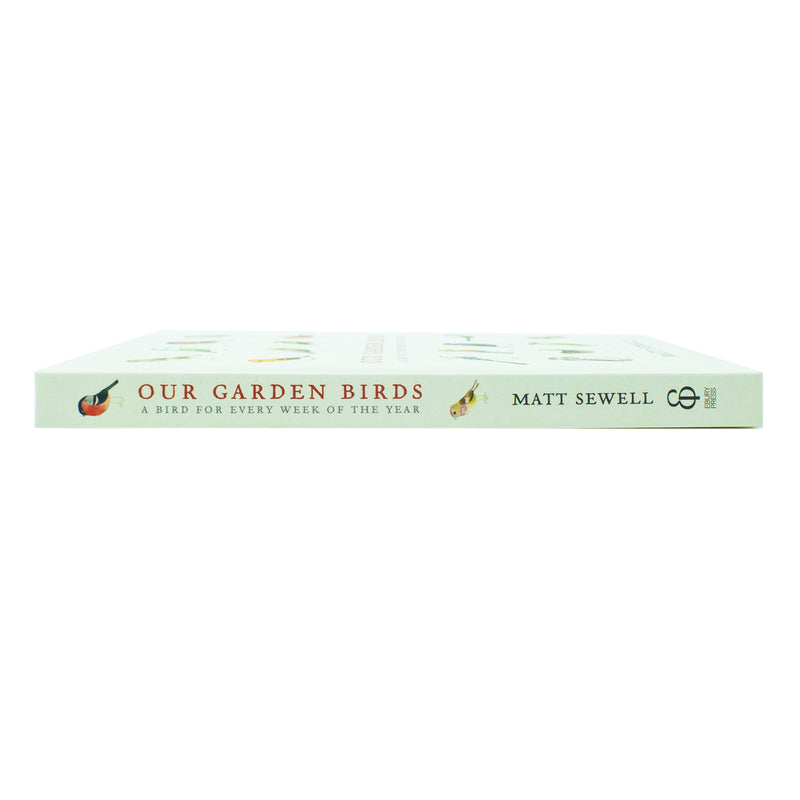 Our Garden Birds: A Stunning Illustrated Guide to the Birdlife of the British Isles by Matt Sewell | Nature, Wildlife & Birdwatching Book for All Ages