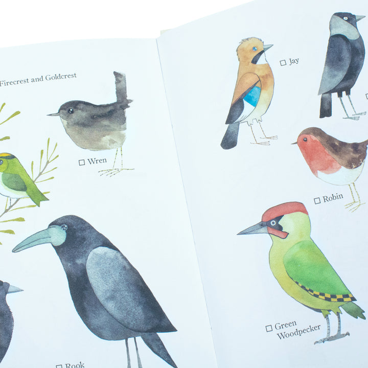 Our Garden Birds: A Stunning Illustrated Guide to the Birdlife of the British Isles by Matt Sewell | Nature, Wildlife & Birdwatching Book for All Ages