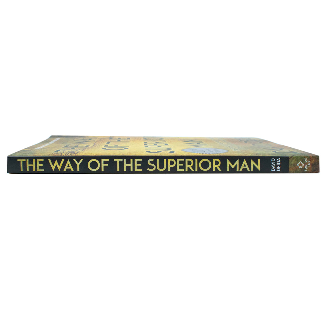 The Way of the Superior Man Book by David Deida – A Spiritual Guide to Mastering Women, Work & Sexual Desire | Self-Help, Masculinity,& Success