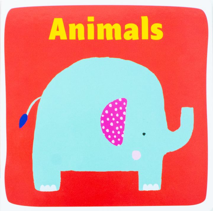 My Early Learning Box (Things That Go, First Words, Colours, Animals)