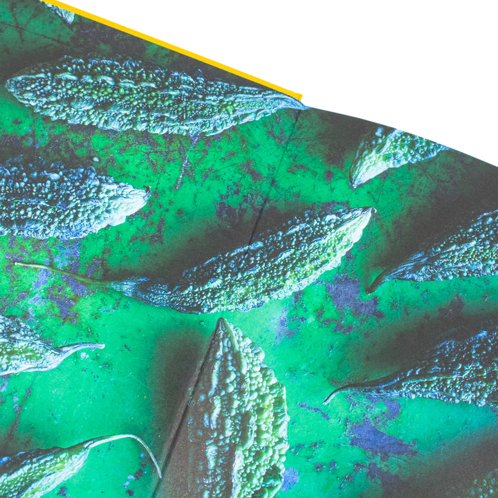 Chetna’s Healthy Indian Cookbook by Chetna Makan – Easy Recipes & Family Meals | Indian Cooking, Spices, Nutrition, Vegetarian, Wellness, Quick Meals