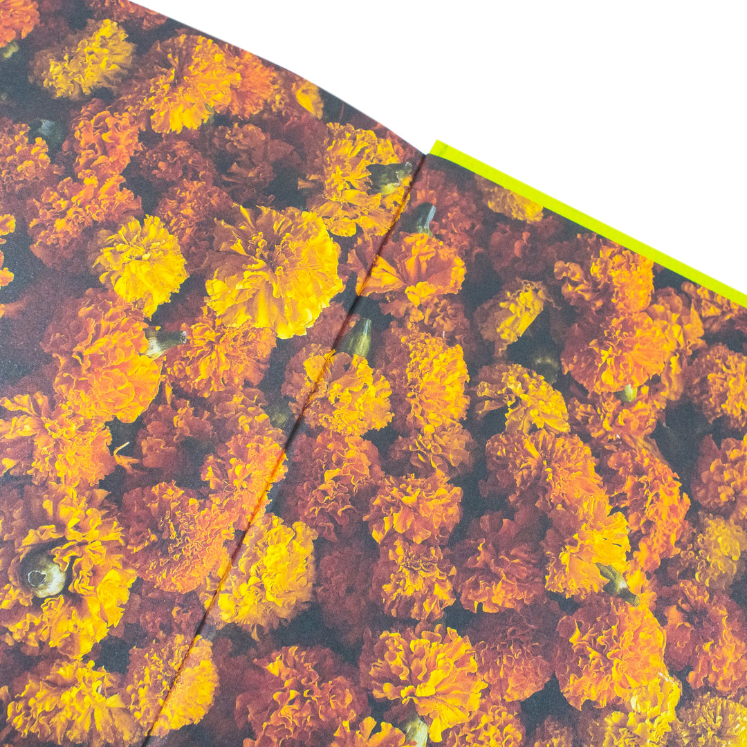 Chetna's Healthy Indian: Vegetarian & Vegan Recipe Book – Easy, Nutritious Meals & Feasts Packed with Spices, Flavors & Gourmet Home Cooking