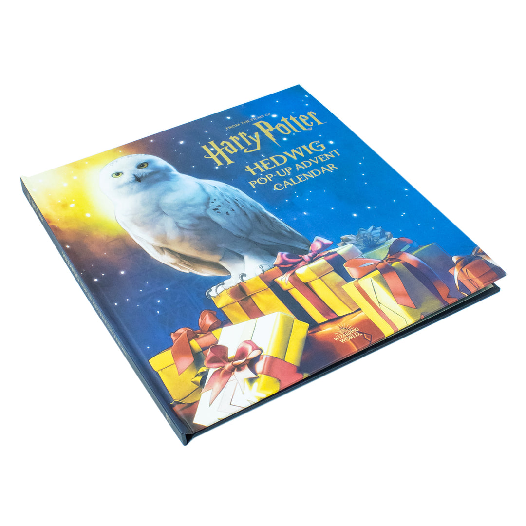 Hedwig Activity Harry Potter Hedwig Advent Calendar - Fun Holiday Gift for Kids ...